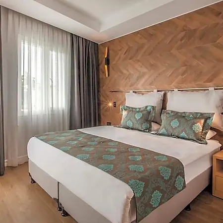 Eliada 3*